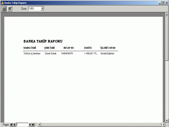 �rnek Banka Takip Raporu