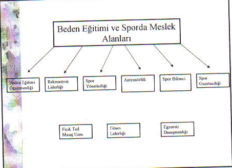 Spor Bilimi - Konu 10 