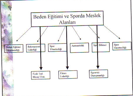 Spor Bilimi - Konu 10 