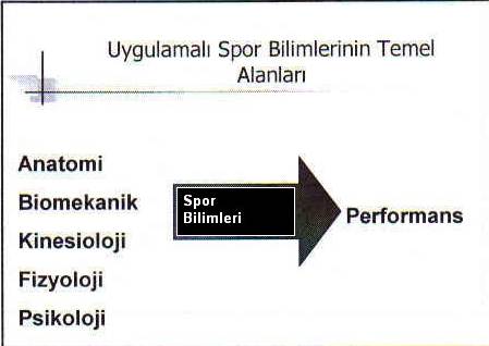 Spor Bilimi - Konu 8 