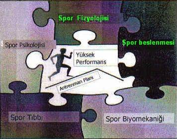 Spor Bilimi - Konu 8 