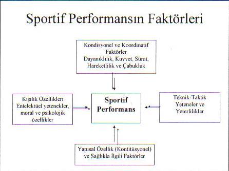Spor Bilimi - Konu 9 